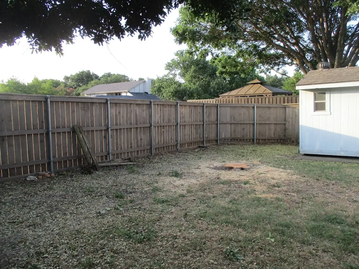 Cleared yard after professional tree removal in Land O Lakes